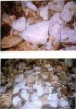 Mexico BARITE