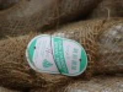 China (Mainland) galvanized binding wire