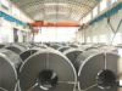 United Arab Emirates Hot Rolled Coil
