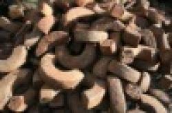 Cameroon iron ingots