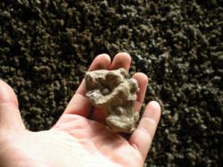 United States Ferro-nickel offered