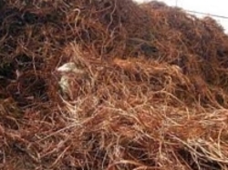 United Kingdom Copper scrap