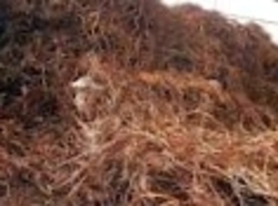 Cameroon Copper wire scrap 99.99% pure
