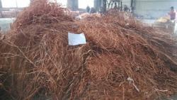 Sell Copper Wire Scrap