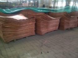 copper cathode