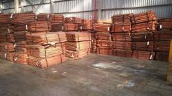 WTS (sell) cathode copper ASWP 5000-10000 MT per month