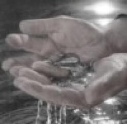 India Mercury