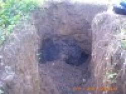 Philippines Mining Mines