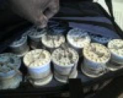 United States NICKEL PROPOSITION WIRE
