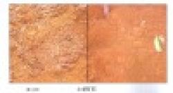 Nickel Ore