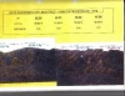 Nigeria iron ore and copper ore for sale