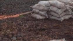 Manganese Ore