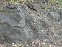 Sell Manganese Ore