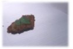 Nickel Ore