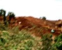 Guinea ##f_title_clear##