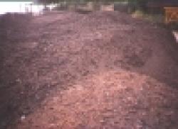 IRON ORE FINES