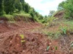 MANGANESE ORE ABOVE 42%MN