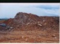 MANGANESE ORE