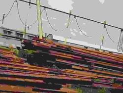 India Scrap Metal