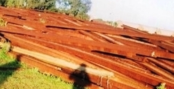 United Arab Emirates Scrap Steel Metal