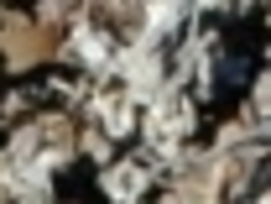 United Kingdom Shredded STEEL scrap