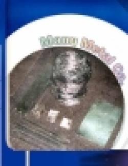 India TIN ANODE