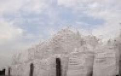 300G Magneium Ingot $0