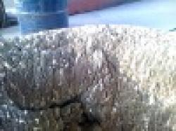 99.9% calcium metal $0