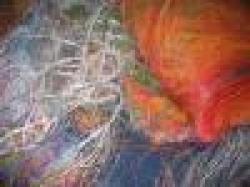 #1 and #2 ICW Material $0