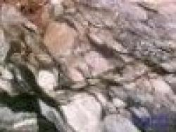 ** Mine and other Ores and Precious Stones ** $0