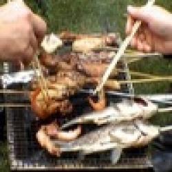 American grill netting $0