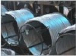 Big Coil Galvanized Wire $0