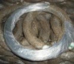 Binding Wire - Galvanized $0