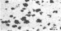 Blackheart Malleable Cast Iron $0