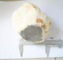 Blue chalcedony nodule rough large piece $0