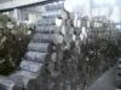 Brass Billets, Remelted Copper Ingots 99.1% $0