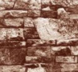 Brick Prepainted Steel Coil $0