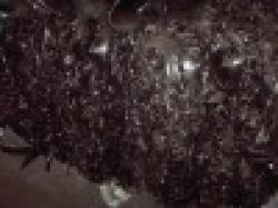 Butyl Scrap Bladders $0