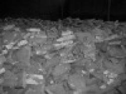 Calcium Silicon Alloys $0