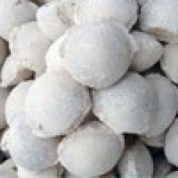 Caustic Calcined Magnesite Ball $0
