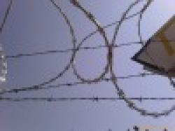 CONCERTINA FILO SPINATO CON LAME $0