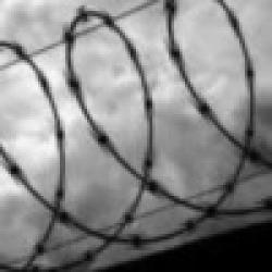 Concertina Razor coils $0