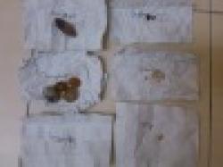 Crystals precious stones $0