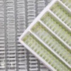 Double Loop wire (Iron double coil) $0