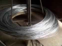 electro galvanized wire/hot-dip galvanized wire $0