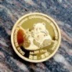 fashion metal badge $0