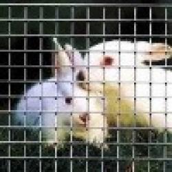 fence wire(manufacturer) $0