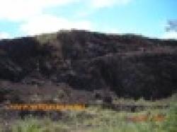 ferro manganese $0