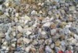 fluorite at the best price and the best quality. $0