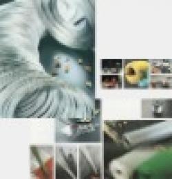 galvanized wire/hot dipped galvanized iron wire $0